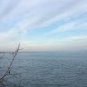 Meet your Posher, Audrey k